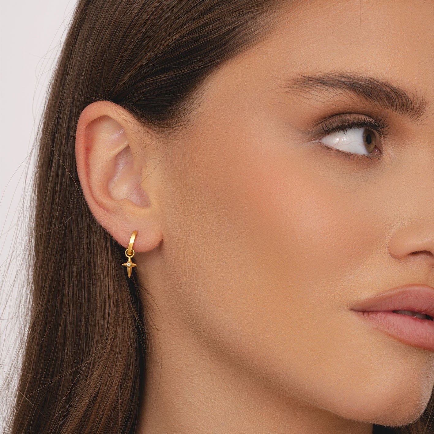 De Passion Hoop Studs