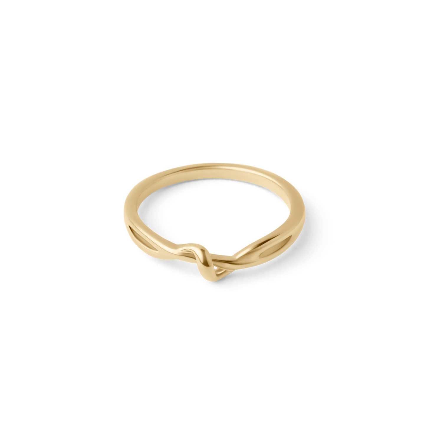 De Eden Ring