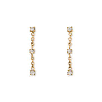 The Zaya Ribbon Curves