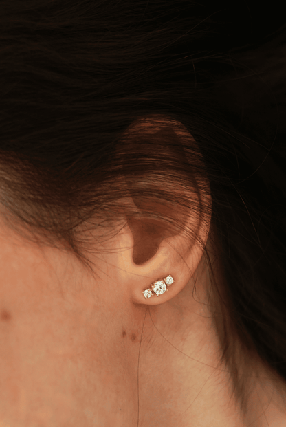 De Trilogie Studs